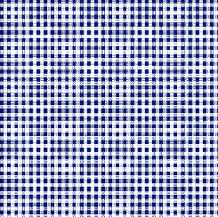 Fabric QT Dots & Stripes Navy Mini Gingham 28895-N
