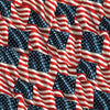 Fabric - Windham 108in Wide - Old Glory - 55144DW-1