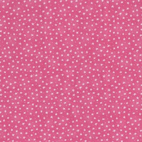 Fabric Blank Quilting Starlet Coral 6383-CORAL