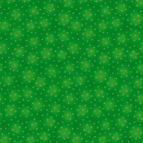 Fabric Blank Quilting Starlet Kelly 6383-KELLY