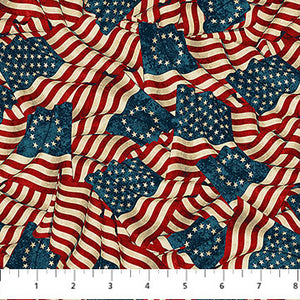 Fabric Northcott 108-inch Wide Back - Stonehenge America 250 - B28371-12