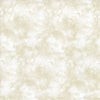 Fabric - Timeless Treasures Solid-Ish Watercolor Texture - C6100-OAT