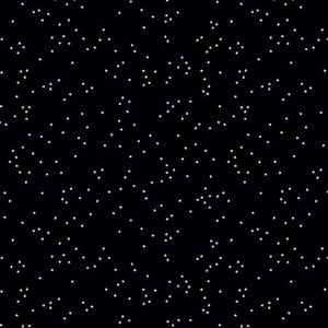 Fabric- Blossoms In Color Black- C715R-BLACK