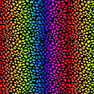 Fabric - Timeless Treasures Multi Rainbow - CD3036-MULTI