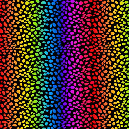 Fabric - Timeless Treasures Multi Rainbow - CD3036-MULTI