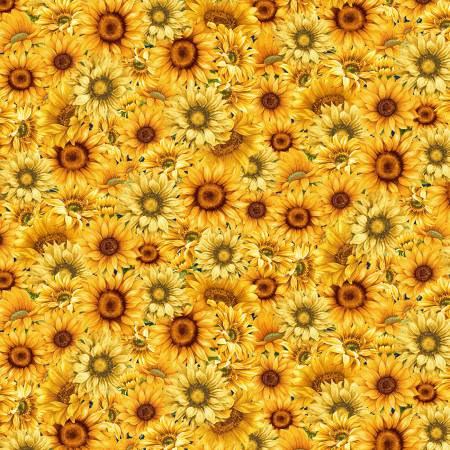 Kit BBM 2025 Sunflower Farm