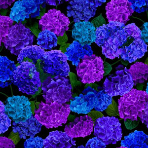 Fabric Timeless Treasures Midnight Bloom Large CD3381-HYDRANGEA