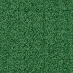 Fabric Michael Miller Dinosaur Land CX11149-GREE