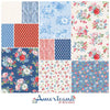 Fabric - Clothworks Americana 2.5in Strips, 40pcs - ST0545