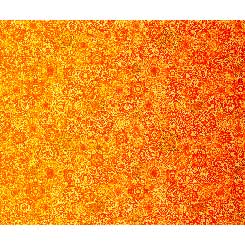Fabric QT Jewelscape Ombre Orange 28979-OS
