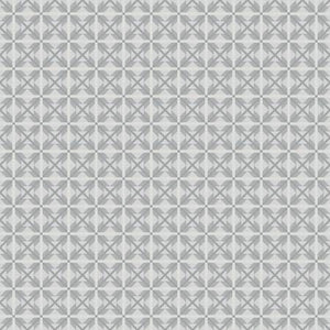 Fabric Riley Blake Winter Barn Quilt Nordic Star Silver C12083R-SILVER