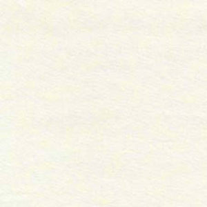 Fabric - Michael Miller Fairy Frost - Glow in the Dark - CG0376-GLOW